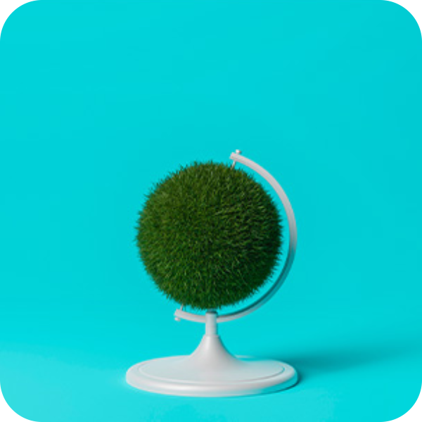 globe-600x600-round.png