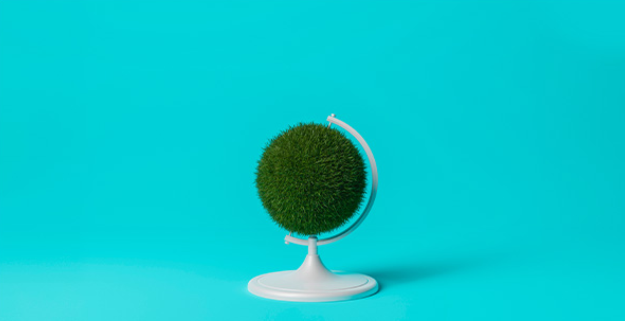globe-website-.png