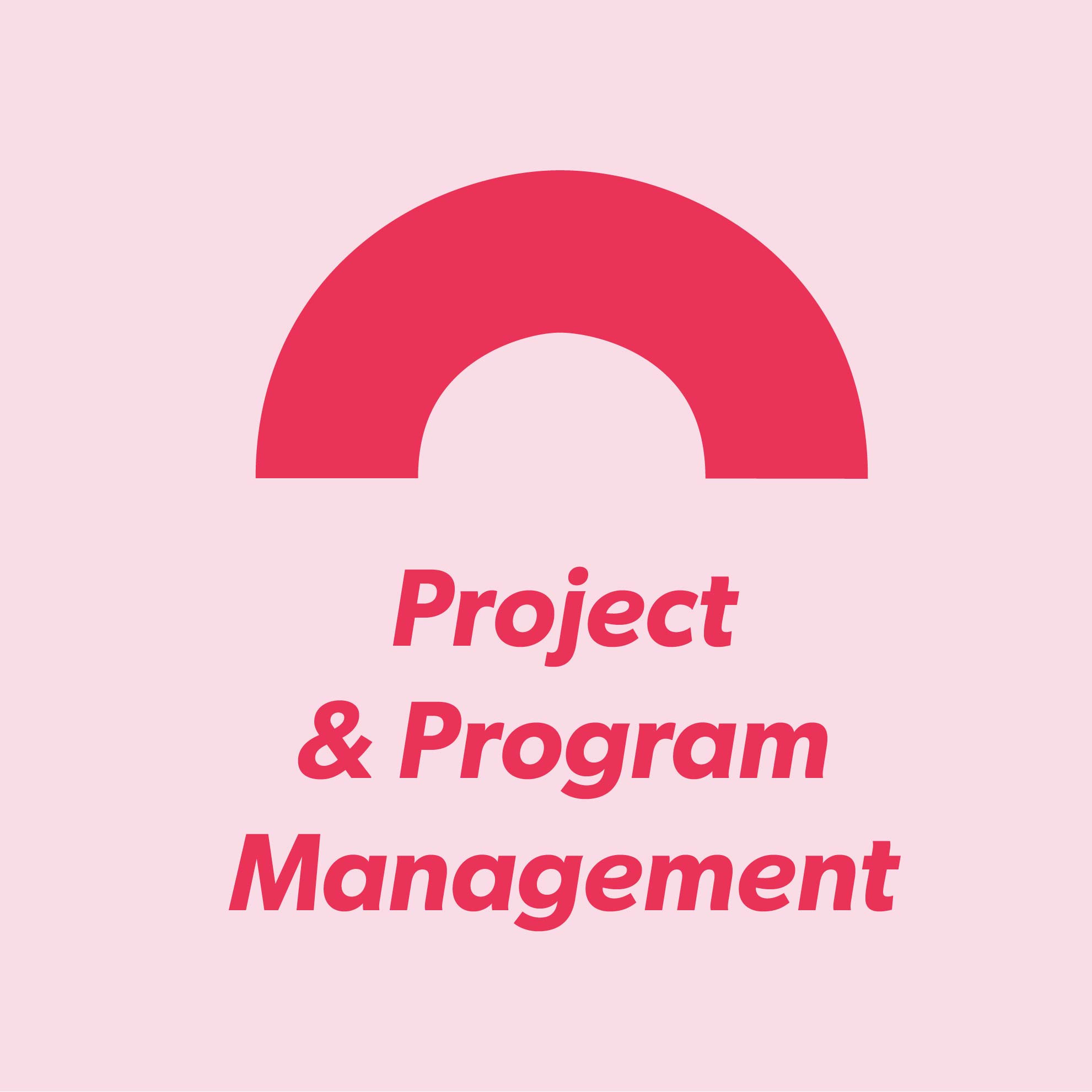 expertise-project-program-management.jpg